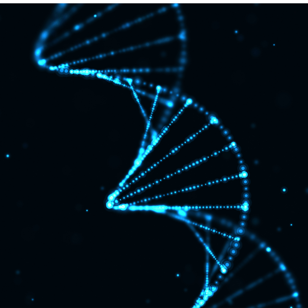 Our DNA